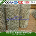 Hot Sale PVC Coated Chicken Wire Netting(ISO, SGS, CE Certificate)